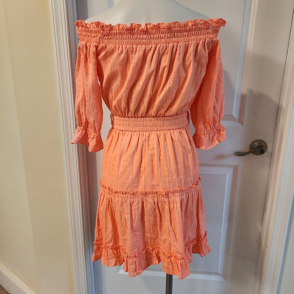Lilly Pulitzer Dress Size Small - Picture 6 of 6